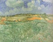 Vincent Van Gogh, Plain near Auvers (nn04)